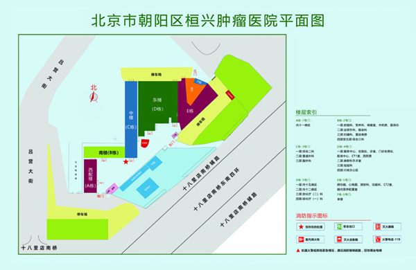 疯狂操逼视频网站北京市朝阳区桓兴肿瘤医院平面图